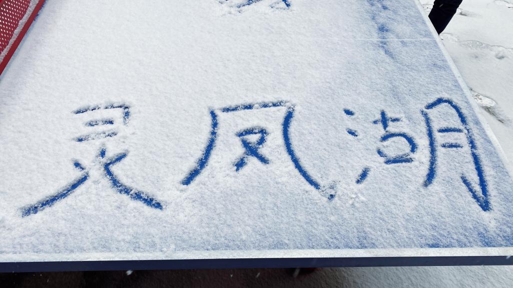 球王会网站