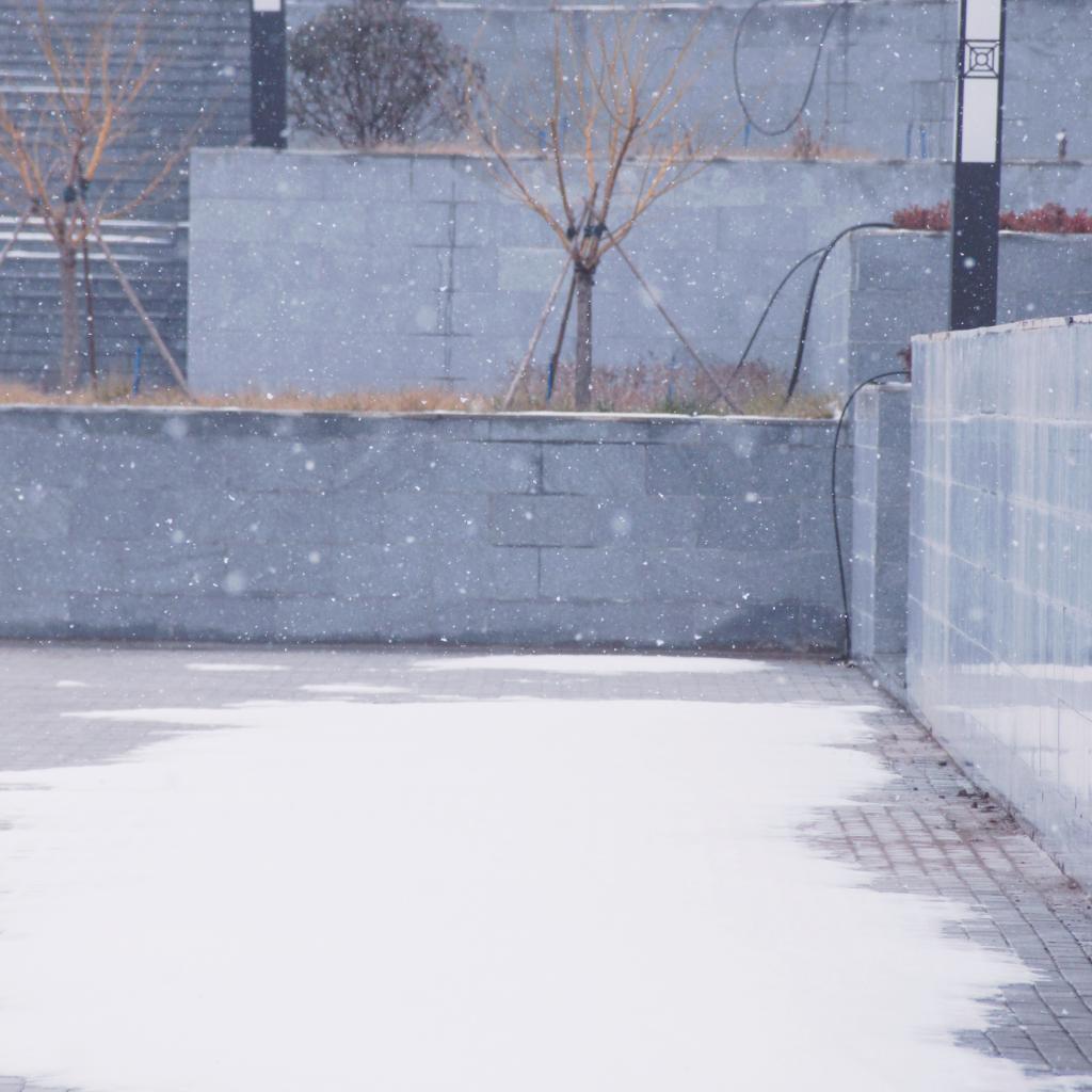 球王会网站
